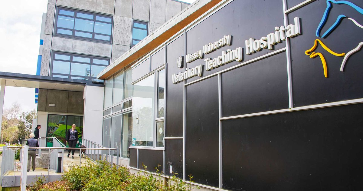 Massey Vets Massey University